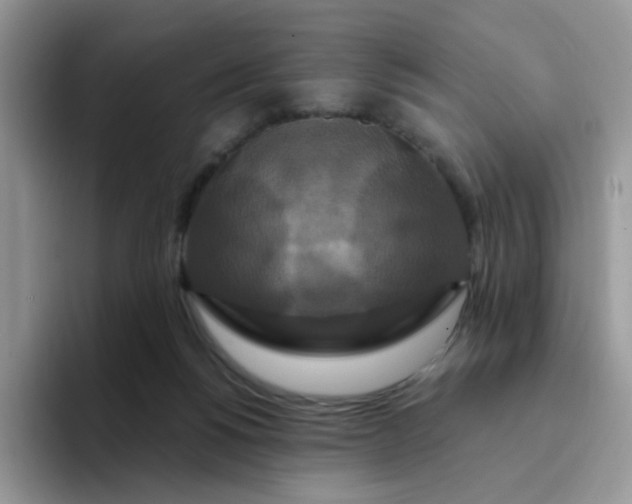 X0000094230168200711091320