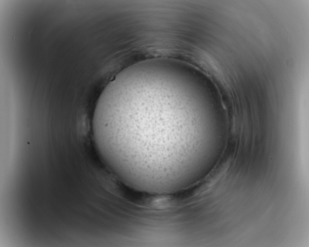 X0000094230173200711091320