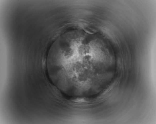 X0000094230177200711091320