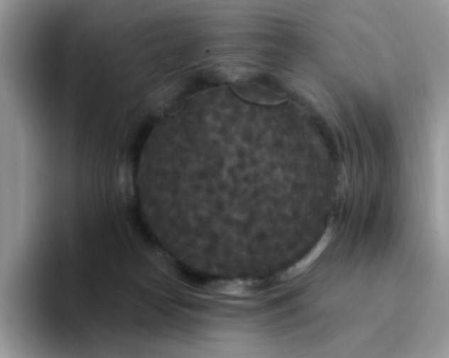 X0000094230182200711091320