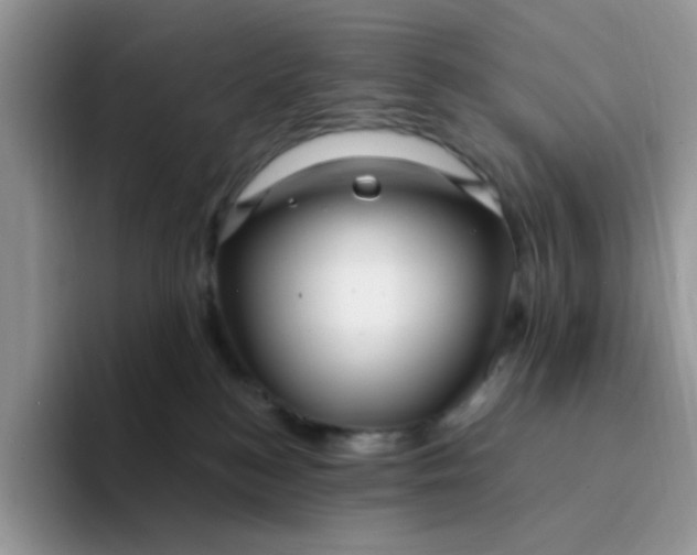 X0000094230184200711091320