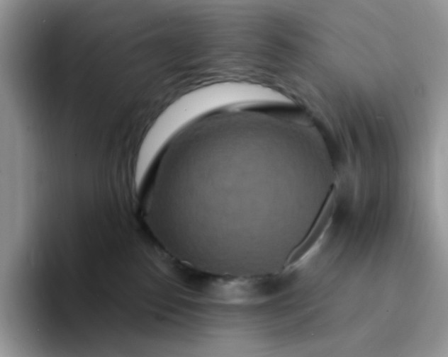 X0000094230186200711091320