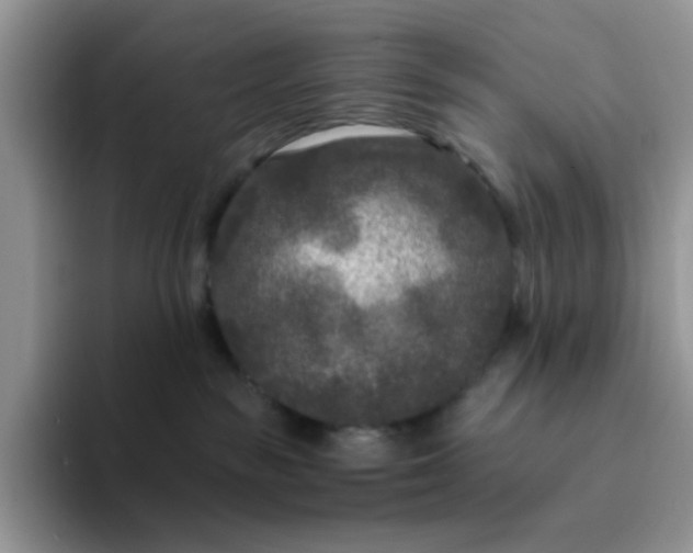 X0000094230189200711091321