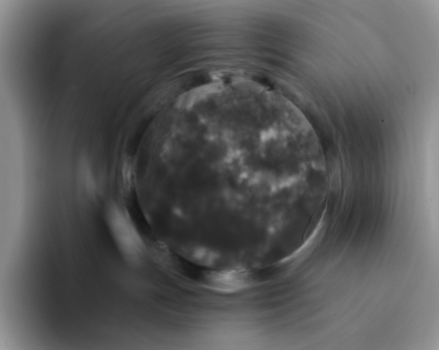 X0000094230191200711091321