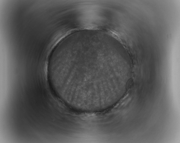 X0000094230194200711091320