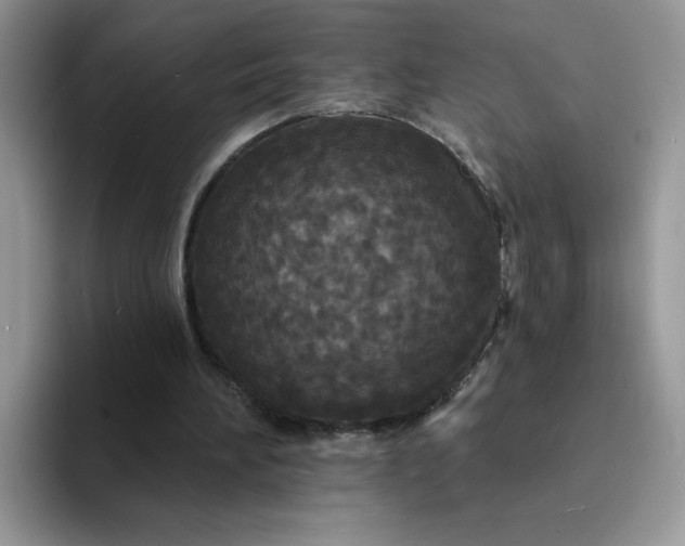 X0000094230196200711091320