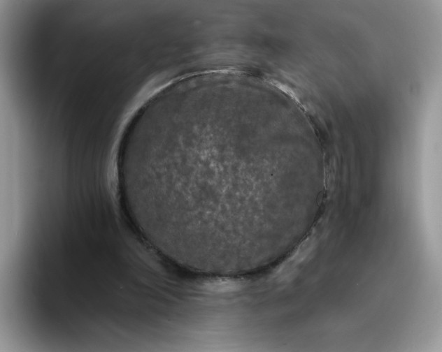 X0000094230198200711091320