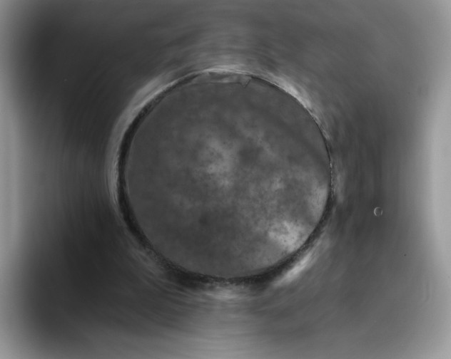 X0000094230199200711091320