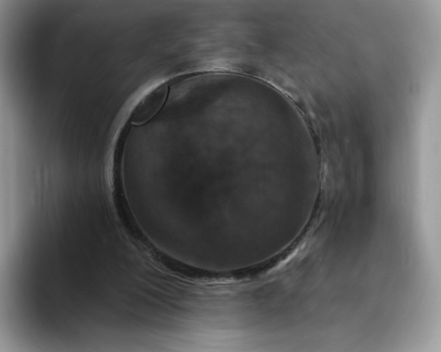 X0000094230200200711091320