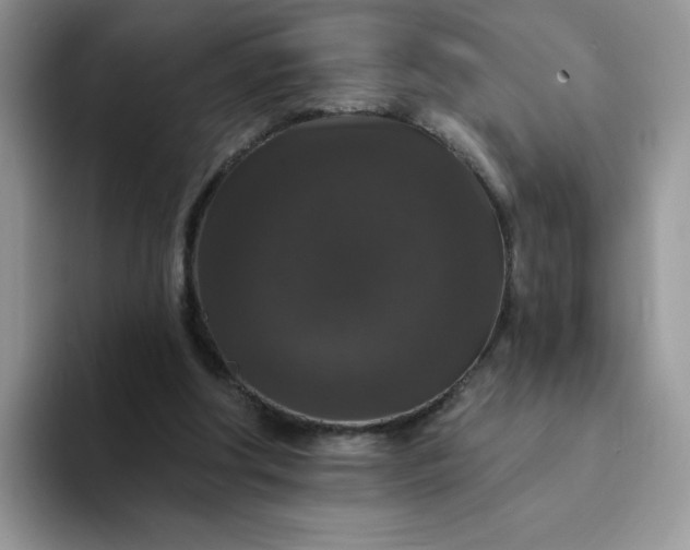 X0000094230202200711091320