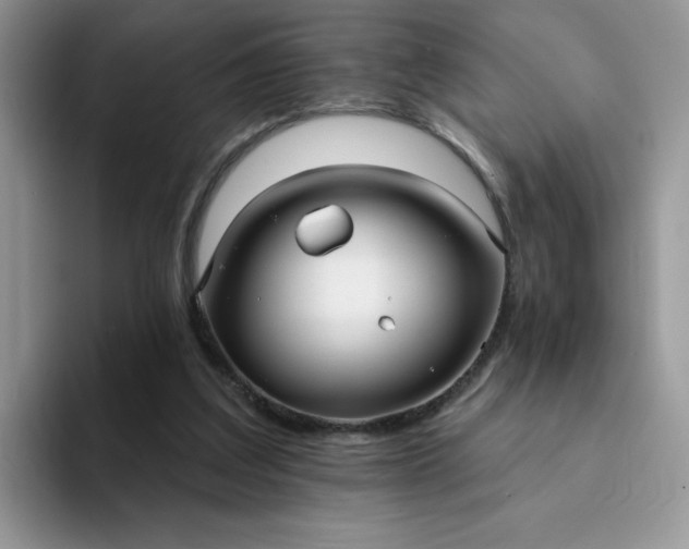 X0000094230203200711091320