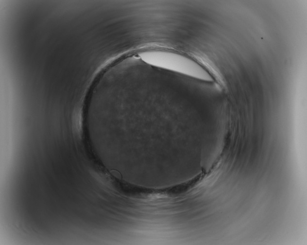 X0000094230204200711091320