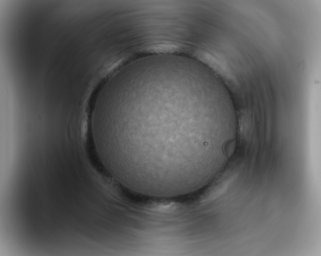 X0000094230206200711091320