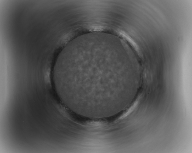 X0000094230209200711091320