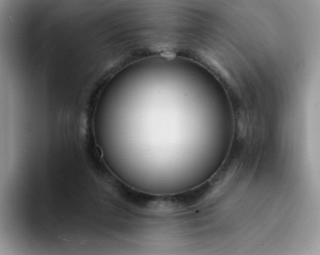 X0000094230211200711091320