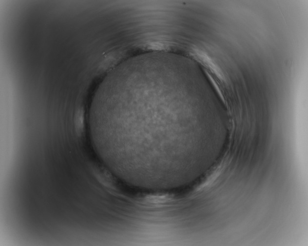 X0000094230213200711091320