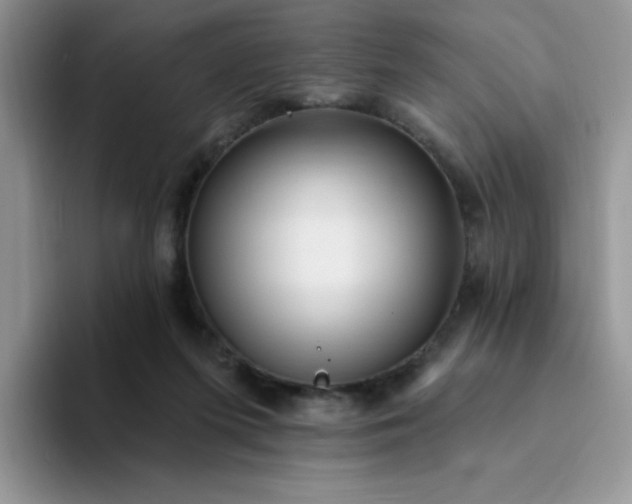 X0000094230215200711091320