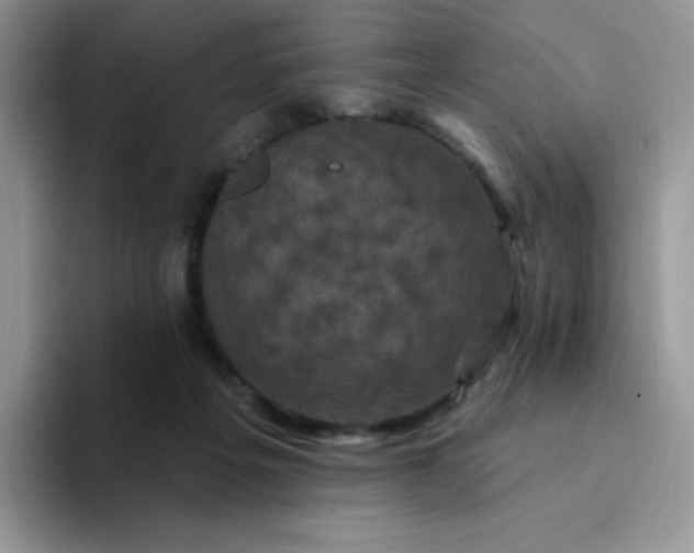 X0000094230217200711091320