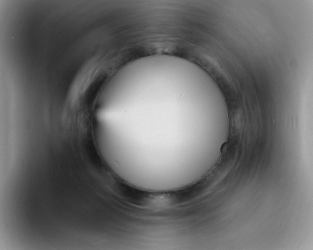 X0000094230218200711091320