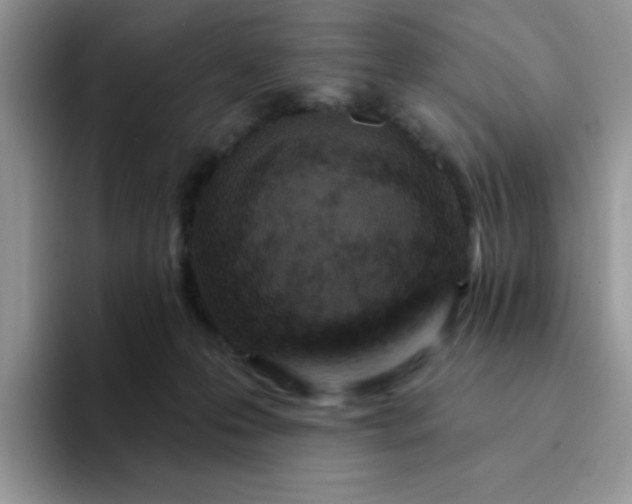 X0000094230223200711091320