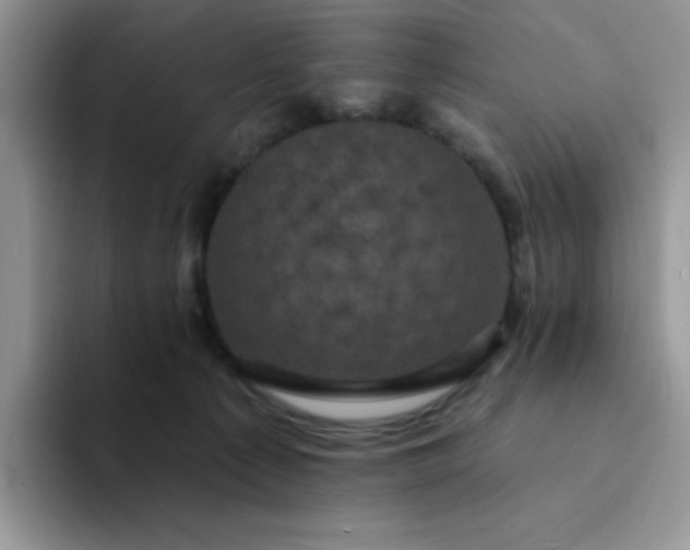 X0000094230225200711091320