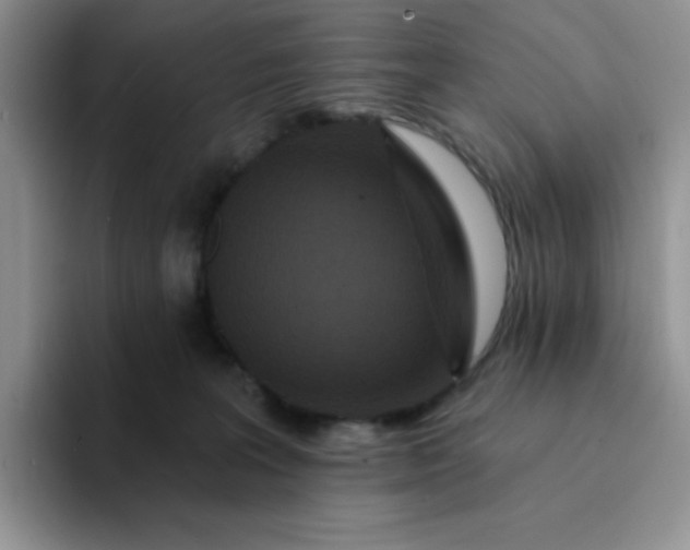 X0000094230227200711091320