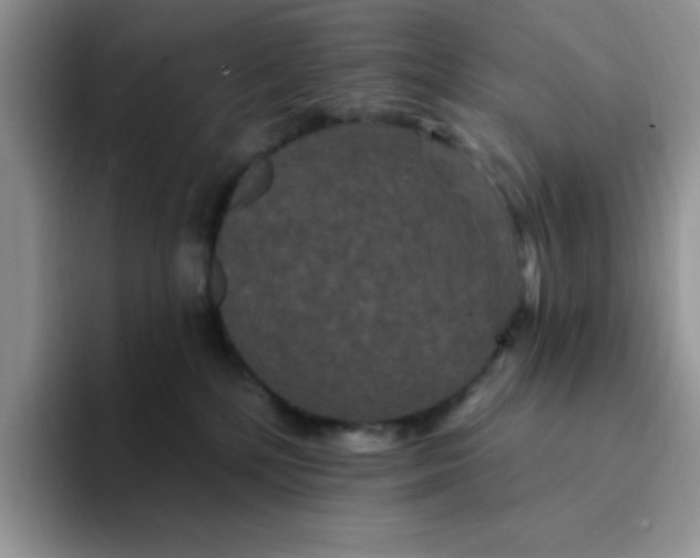 X0000094230232200711091320