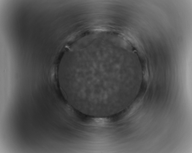 X0000094230233200711091320