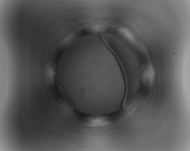 X0000094230235200711091320