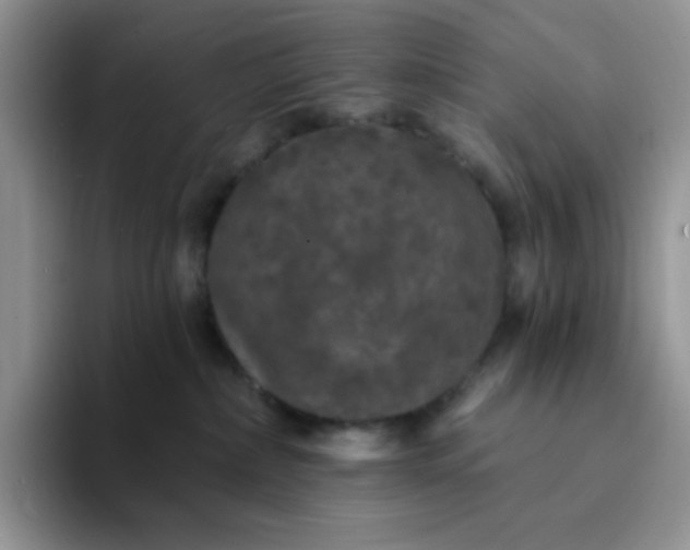 X0000094230236200711091320