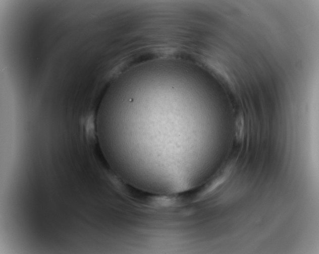 X0000094230238200711091319