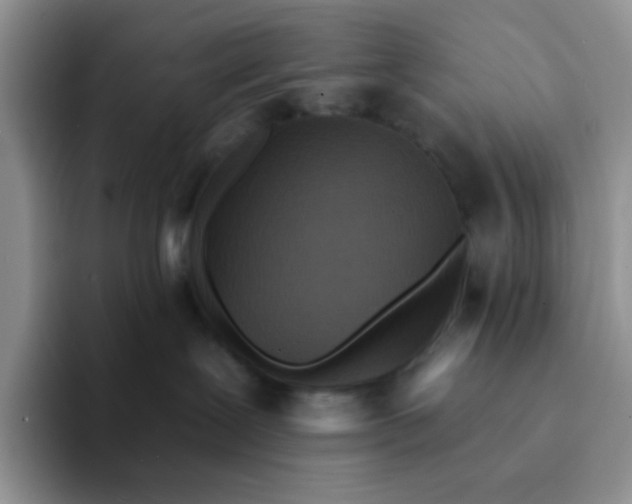 X0000094230239200711091319