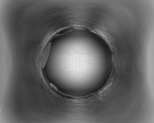 X0000094230241200711091319