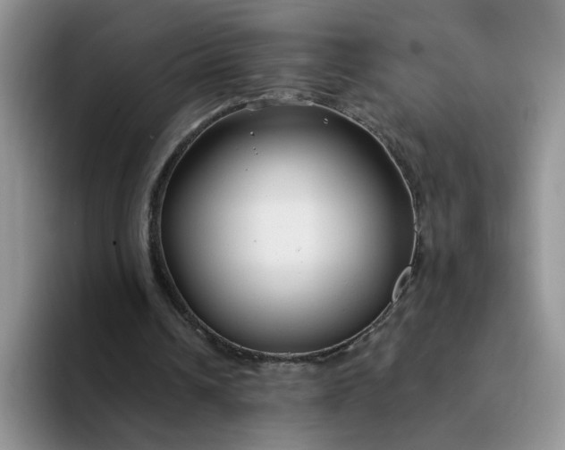 X0000094230242200711091319