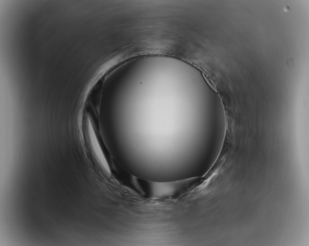 X0000094230244200711091319