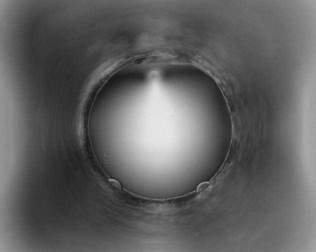 X0000094230245200711091319