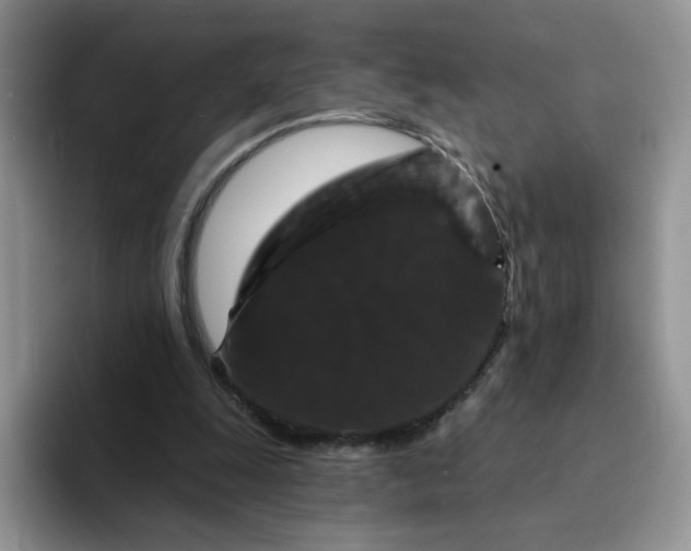 X0000094230247200711091319