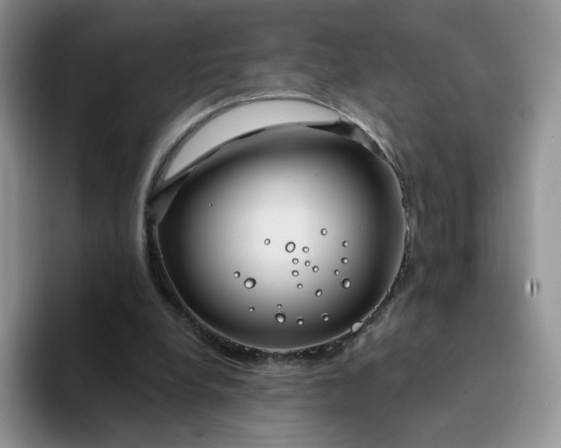 X0000094230248200711091319