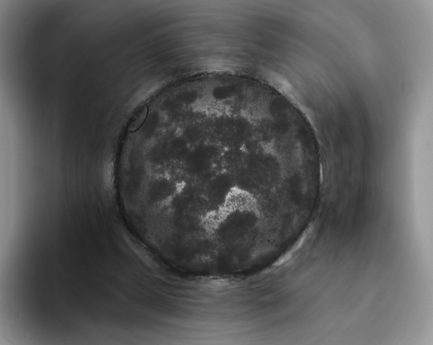 X0000094230249200711091319