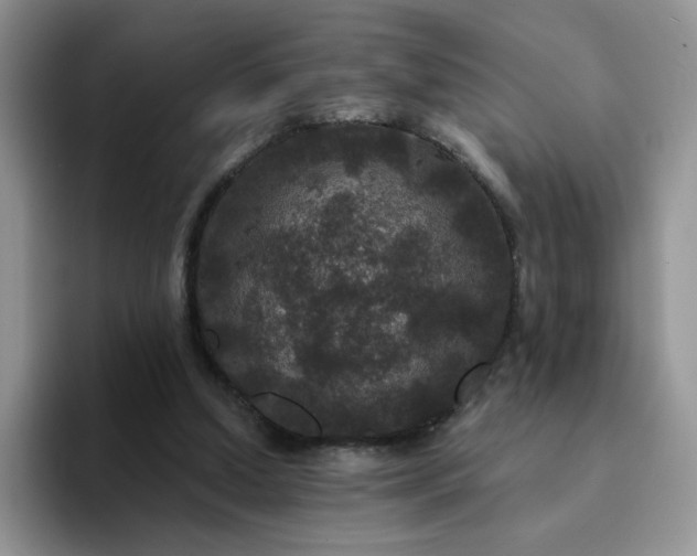 X0000094230250200711091319