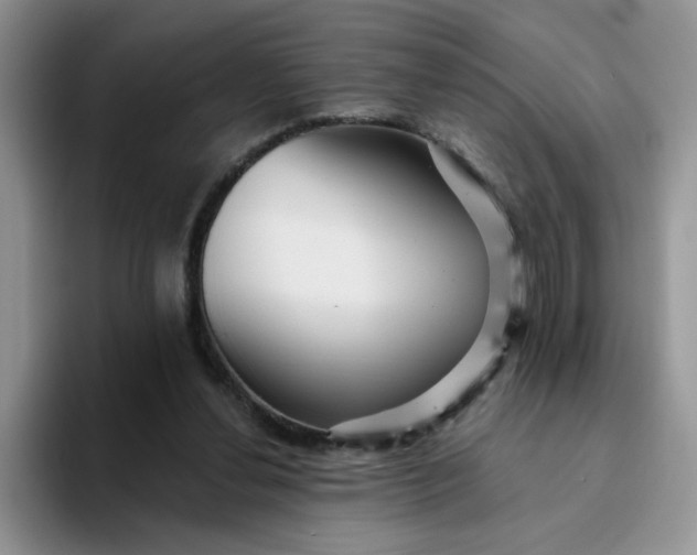 X0000094230252200711091319