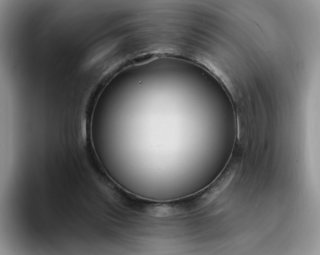 X0000094230253200711091319