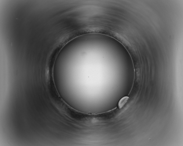 X0000094230254200711091319