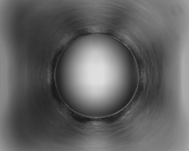 X0000094230255200711091319