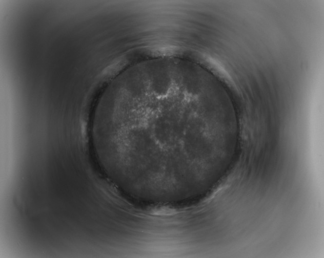 X0000094230258200711091319