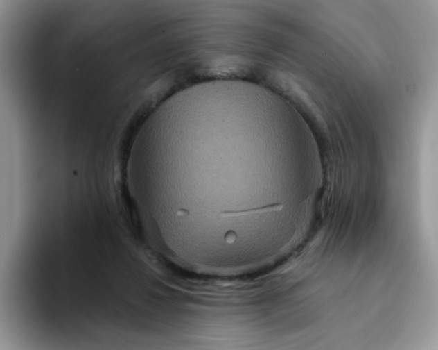 X0000094230260200711091319