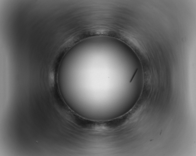 X0000094230262200711091319