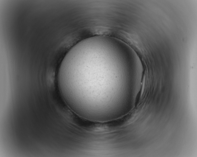 X0000094230263200711091319