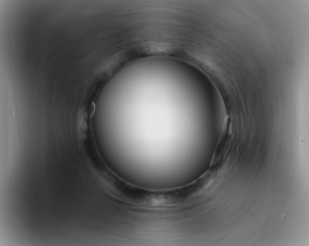 X0000094230264200711091319