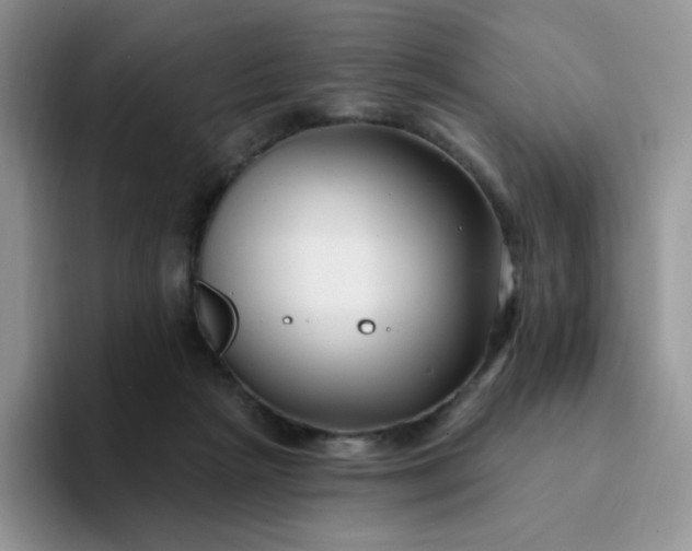 X0000094230265200711091319